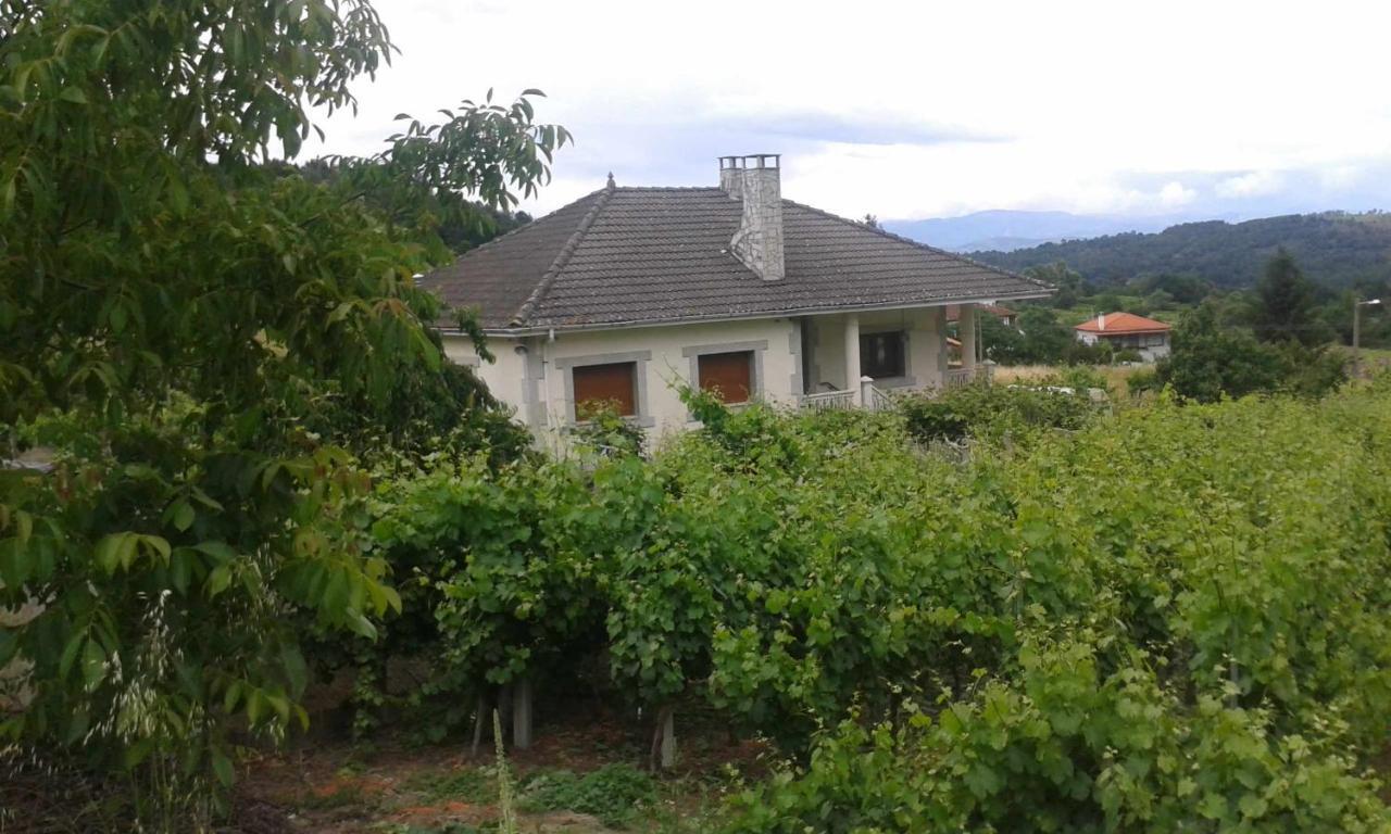 Villa Con Piscina En Panton Ribeira Sacra Galicia Ideal Para Familias Εξωτερικό φωτογραφία